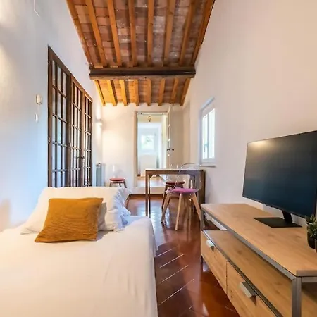 Lh The Rose Tower View Appartement Pisa